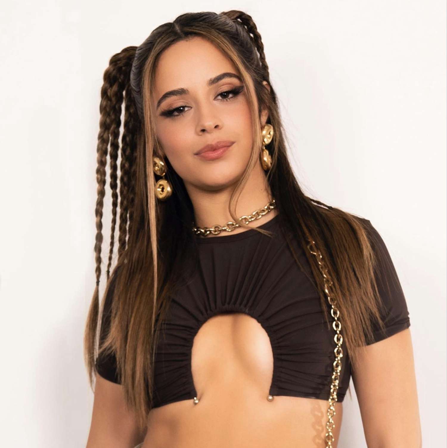 Camila Cabello wears half-up pigtails with multiple braids and a black crop top
